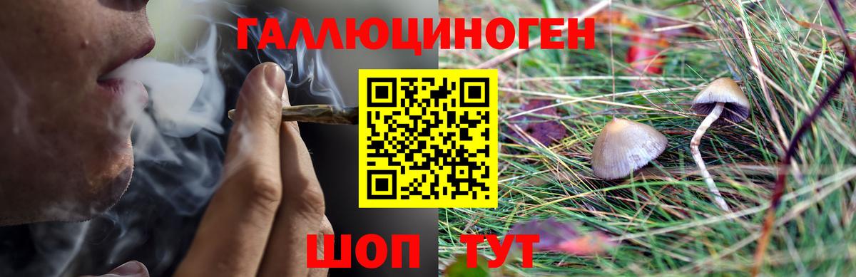 Псилоцибиновые грибы мухоморы  Вход с VPN  купить закладку  Рубцовск  Галлюциногенные грибы Psilocybine cubensis 